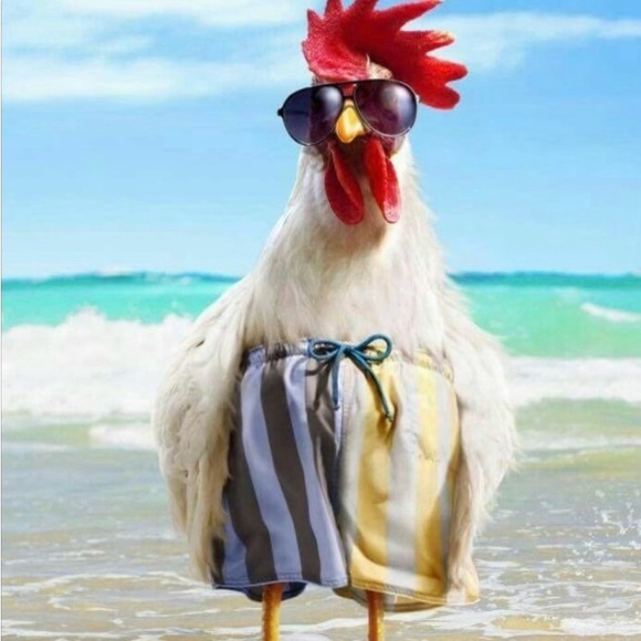 ♥️ To Bookmark Closet - Picture 5 of 15